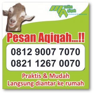 Layanan jasa Paket Catering Jual Kambing Aqiqah murah Karawaci Tangerang, Jatiuwung, Cipondoh, Ciledug, Bintaro, Serpong
